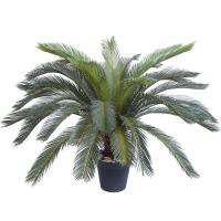 uploads/erp/collection/images/Home Garden/dgjiawang/XU0612768/img_b/XU0612768_img_b_5
